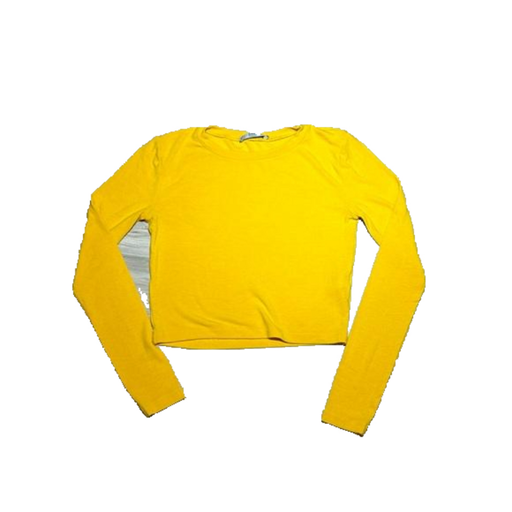 Zara long sleeve crop top size small